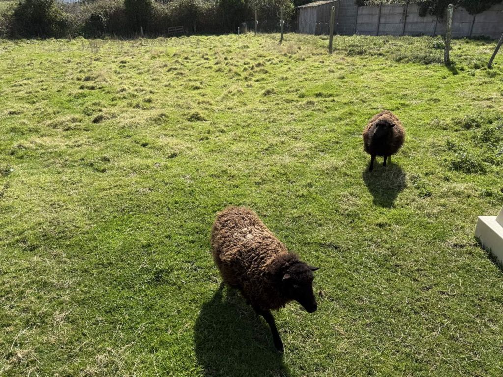  en vente sur PLENEUF VAL ANDRE (22370)