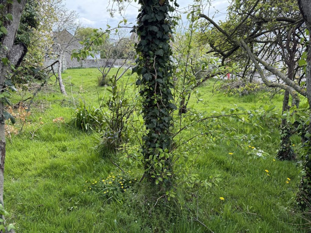  en vente sur PLENEUF VAL ANDRE (22370)