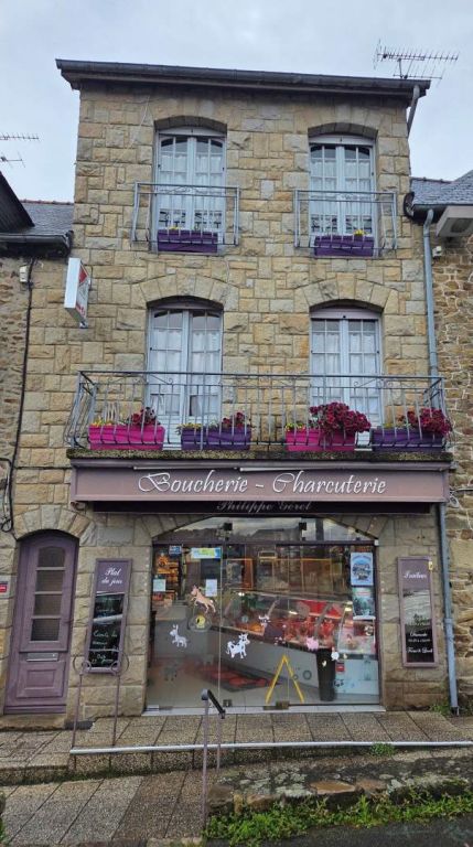  10 pièces en vente sur LAMBALLE ARMOR (22400)