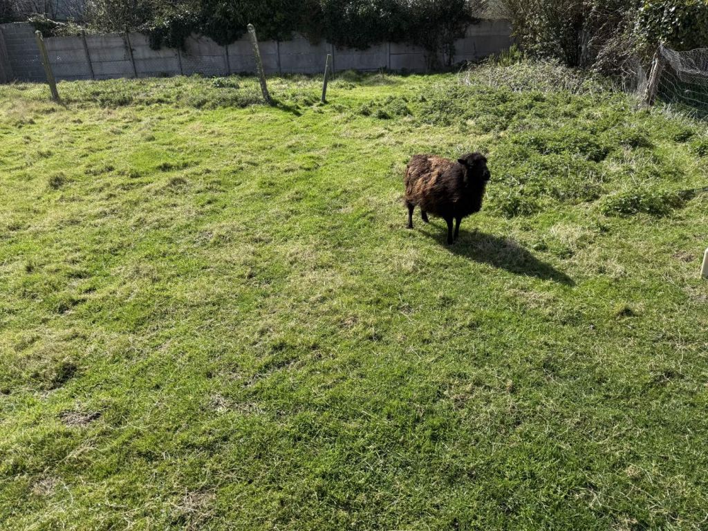  en vente sur PLENEUF VAL ANDRE (22370)